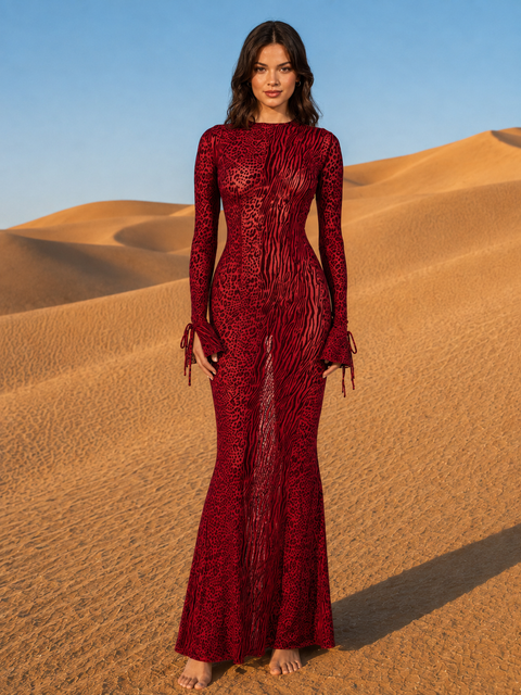 Robe rouge transparente