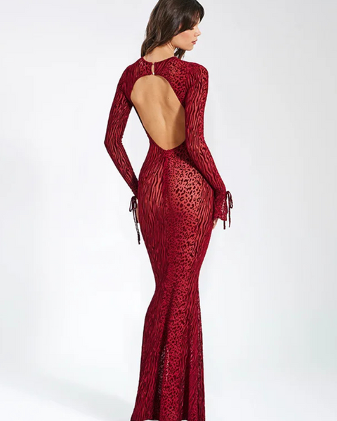 Robe rouge transparente