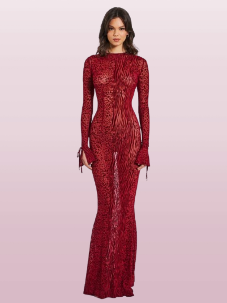 Robe rouge transparente